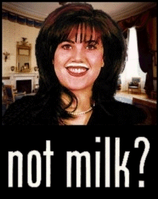 Image result for got milk monica
